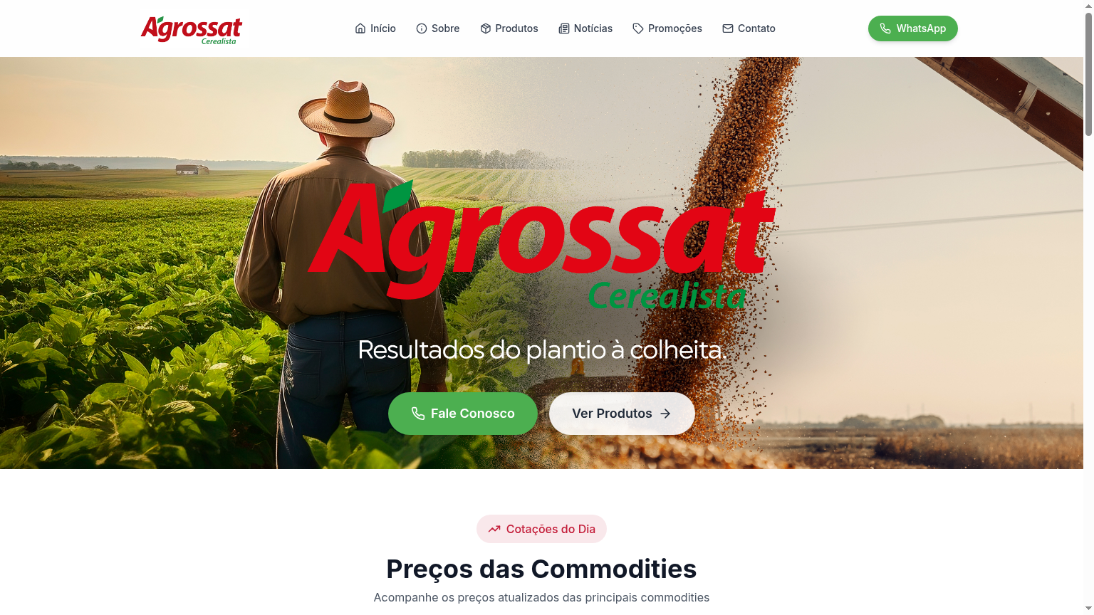 Screenshot do site Agrossat